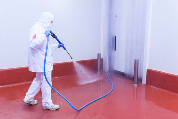 Best Driveway Pressure Washing  in Delshire, OH