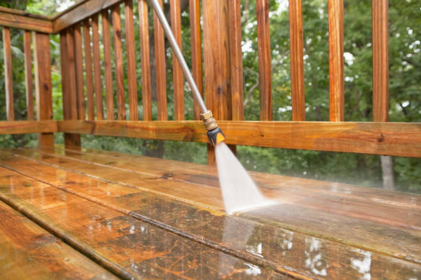 Best Sidewalk and Walkway Cleaning  in Delshire, OH